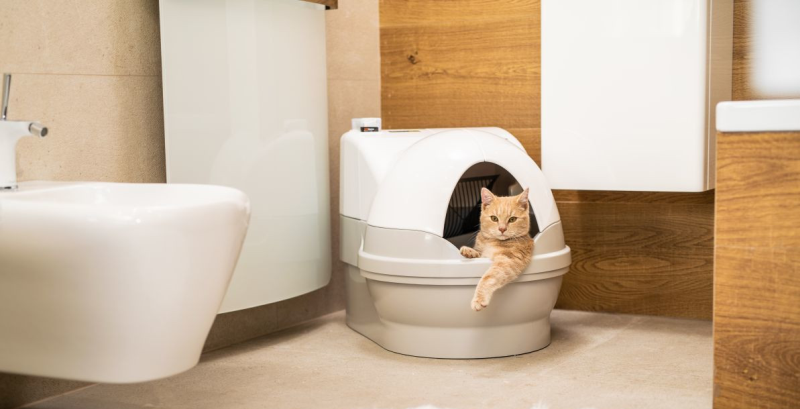 CatGenie 120+ with GenieDome