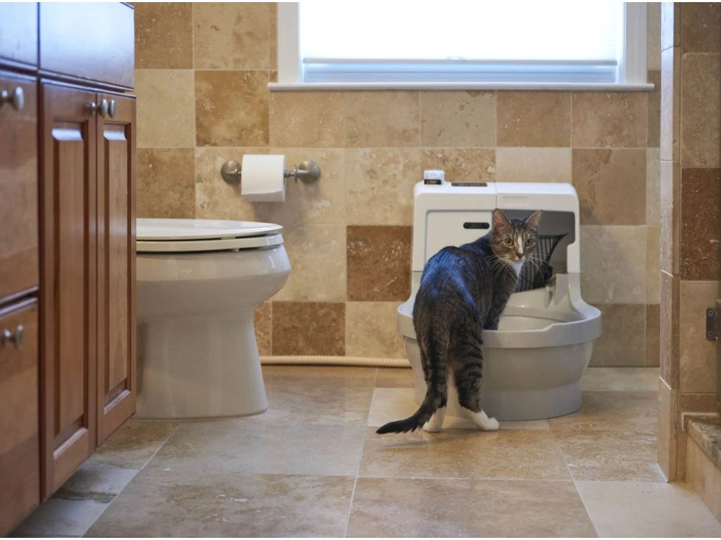 CatGenie A.I. - robotic toilet with GenieDome