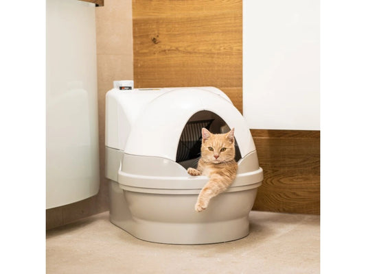 CatGenie A.I. - robotic toilet with GenieDome
