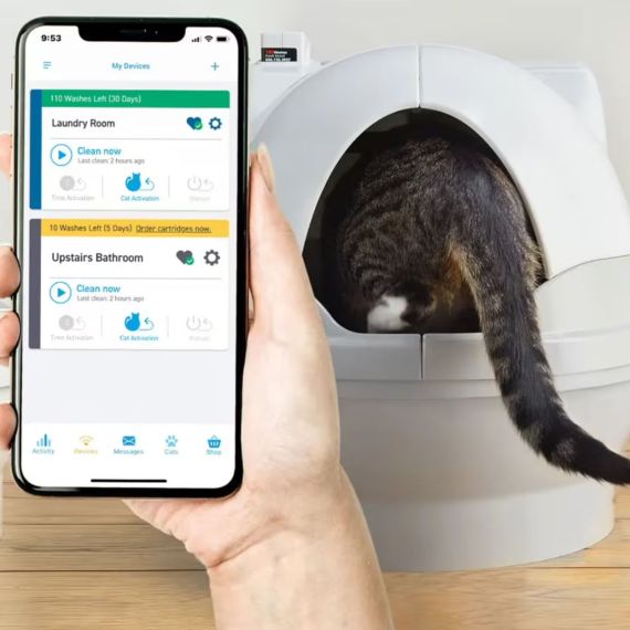 Intelligent Cat Care: The CatGenie A.I. Experience